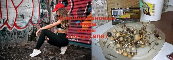 шишки Армянск