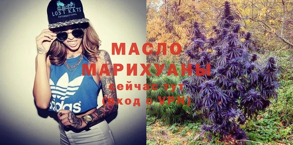сатива Кулебаки