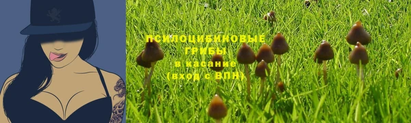 шишки Армянск