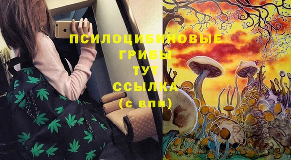 прущие крисы Аркадак
