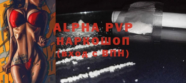индика Кукмор