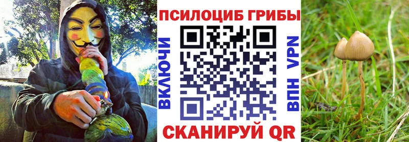 ОМГ ОМГ зеркало  Уржум  Галлюциногенные грибы мицелий 